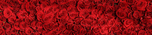 Valentine gift ideas for your girlfriend