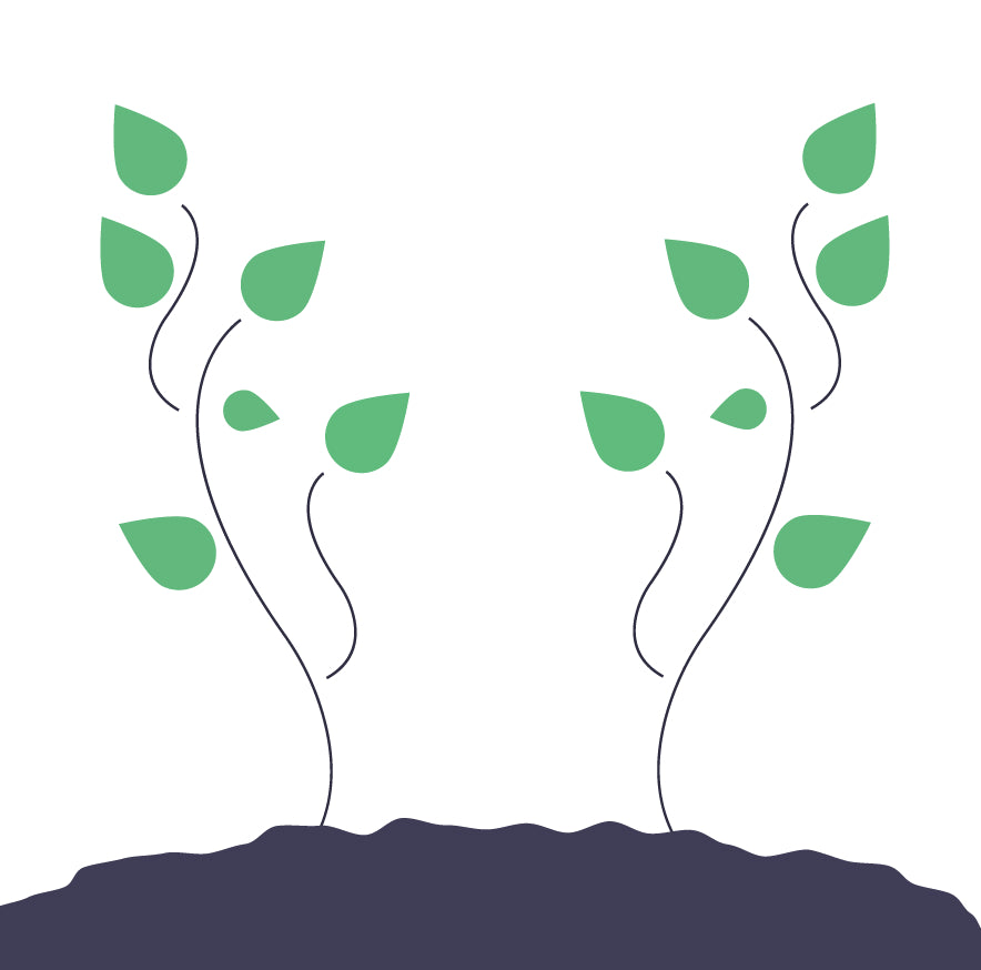 Tree planting with Tree nation step 3 - Lavina Jewelz