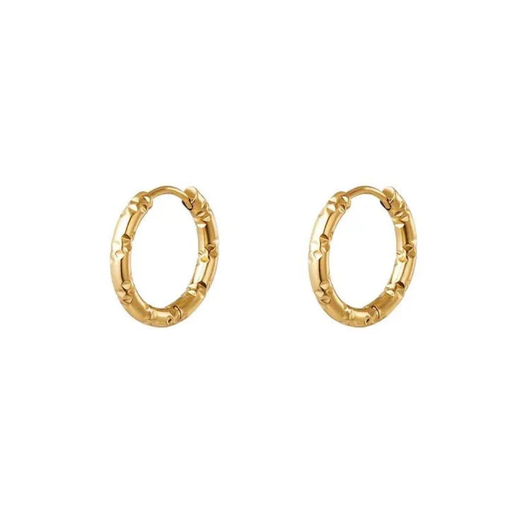 Dainty Hoop Earrings - Lavina Jewelz