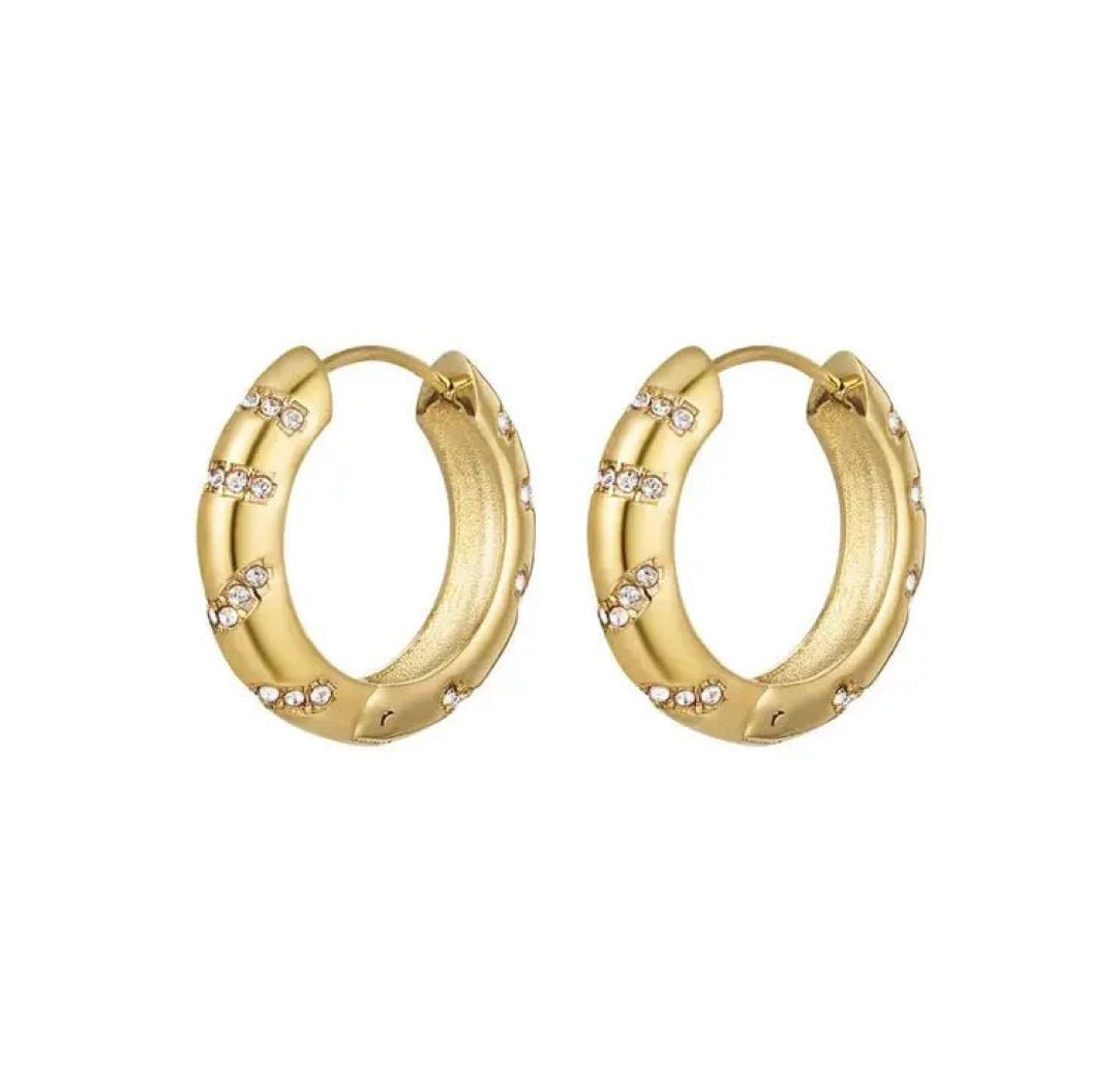 Glam Hoop Earrings - Lavina Jewelz